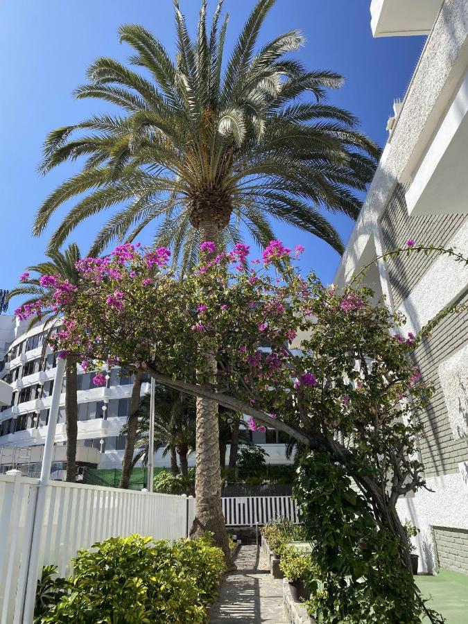 Oasis Playa Maspalomas Maspalomas  Exterior foto