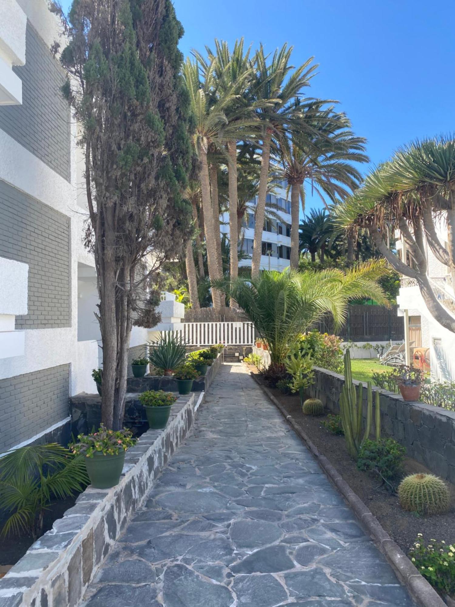 Oasis Playa Maspalomas Maspalomas  Exterior foto
